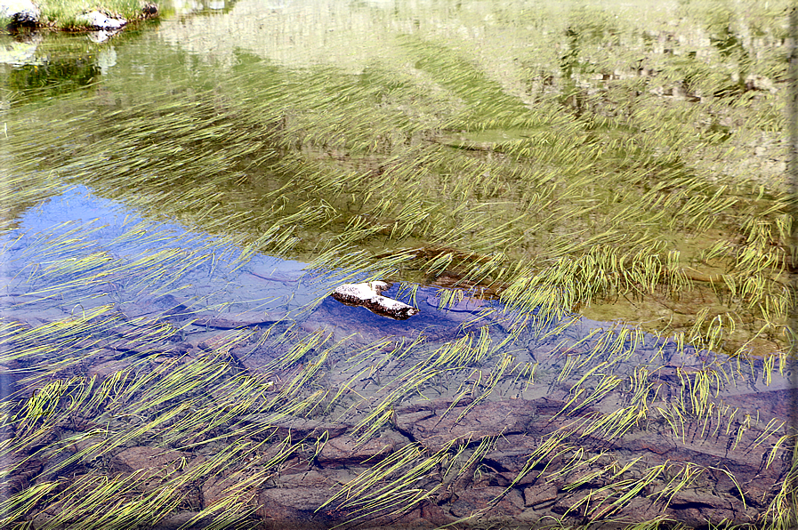 foto Lago di Juribrutto